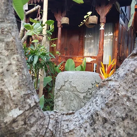 Navalia Rumah Kayu