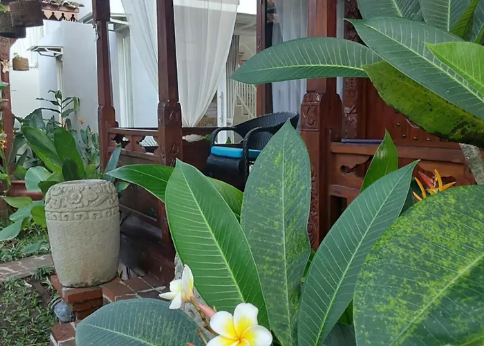 Navalia Rumah Kayu *